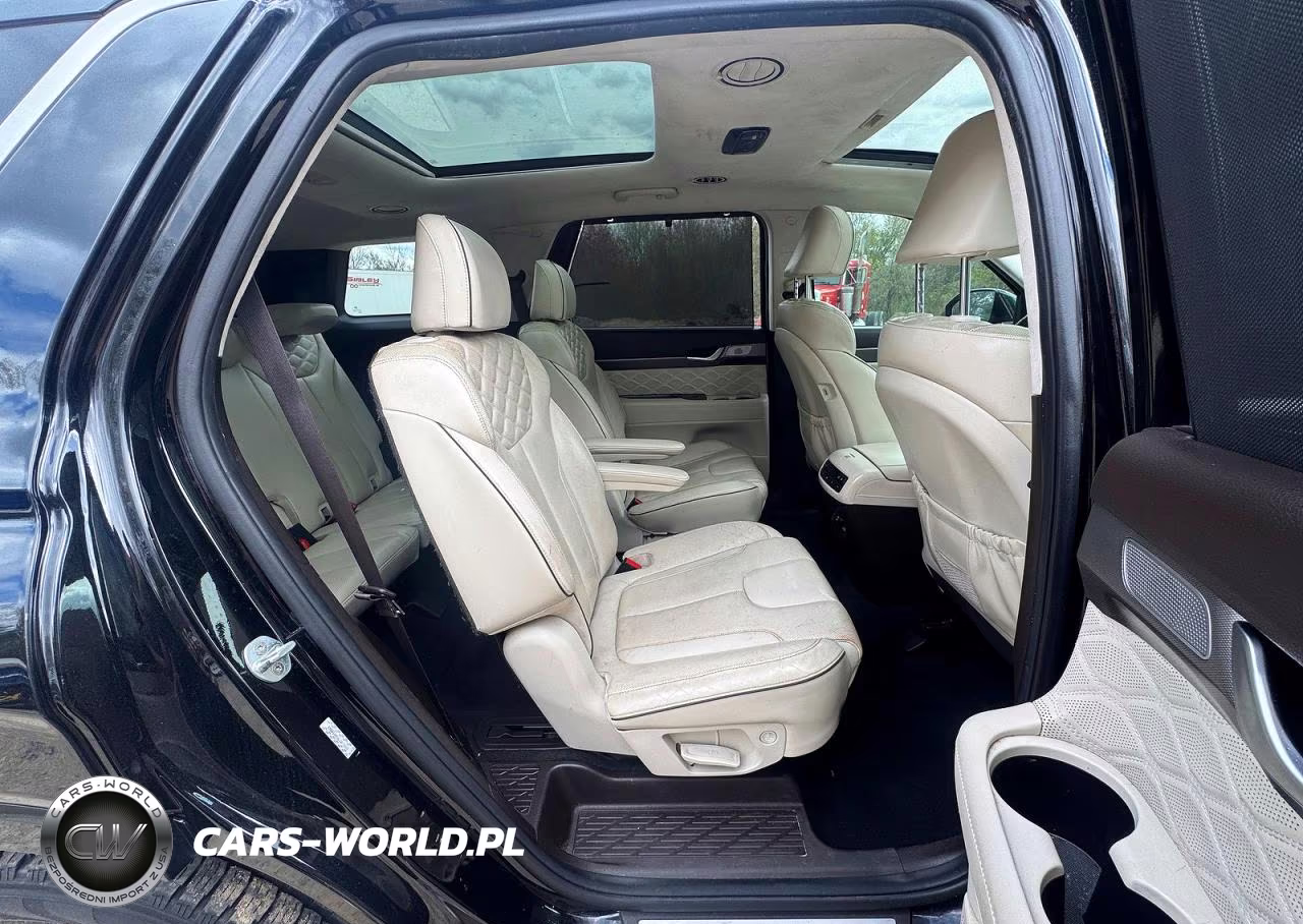 2020 Hyundai Palisade Limited VIN:KM8R54HE6LU073642 - 6