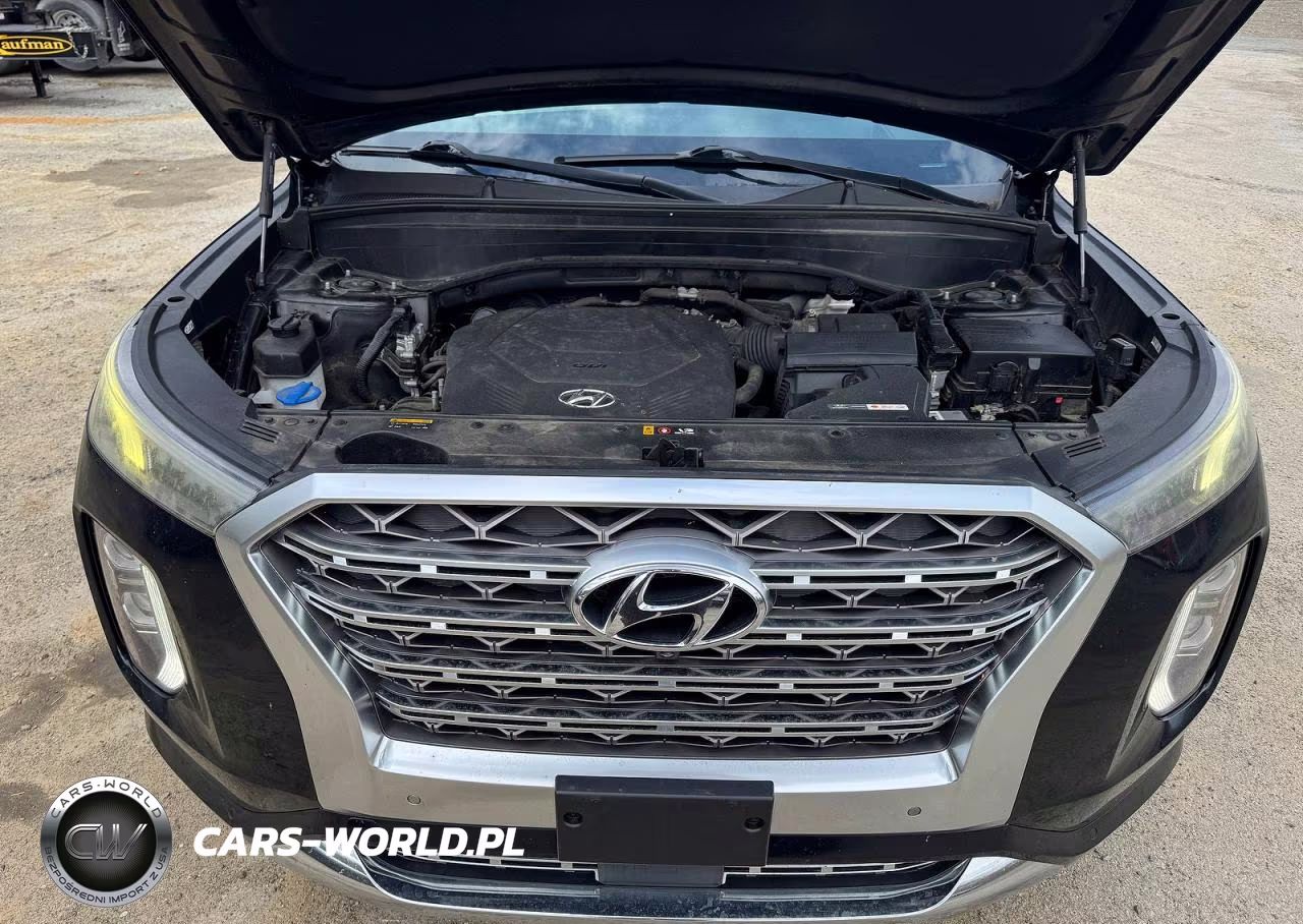 2020 Hyundai Palisade Limited VIN:KM8R54HE6LU073642 - 7