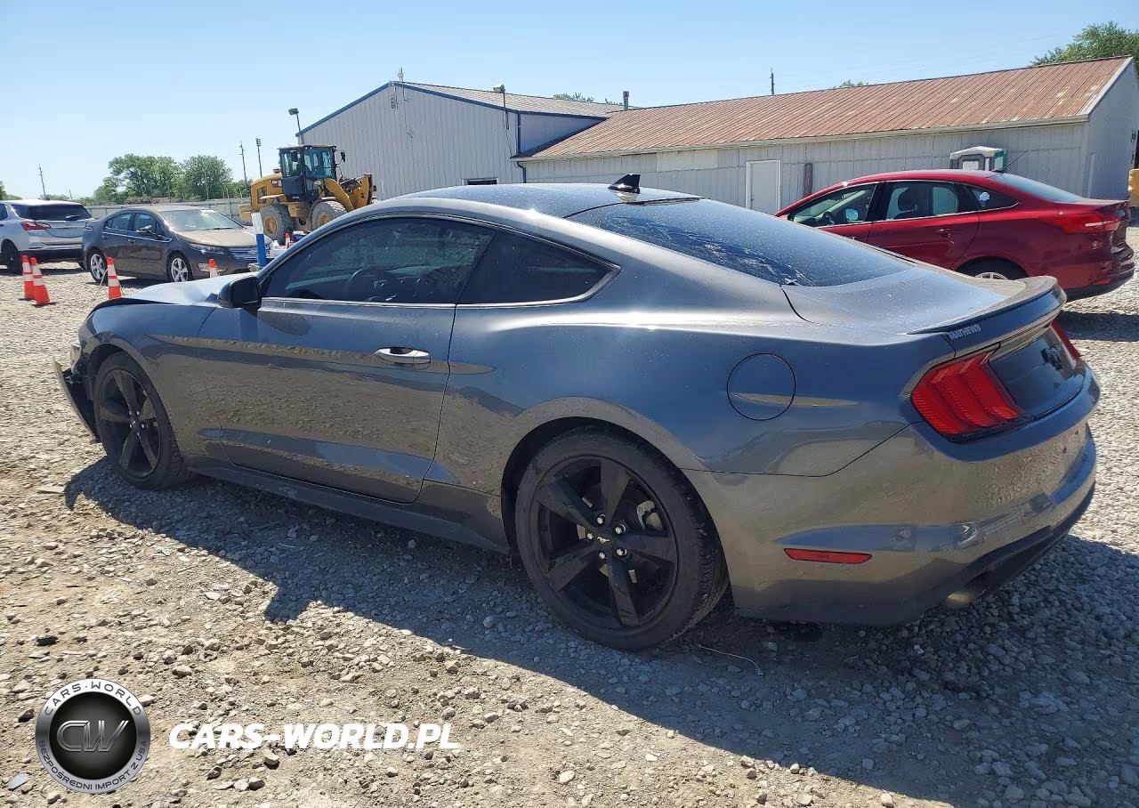 2021 Ford Mustang VIN:1FA6P8TH7M5113948 - 2