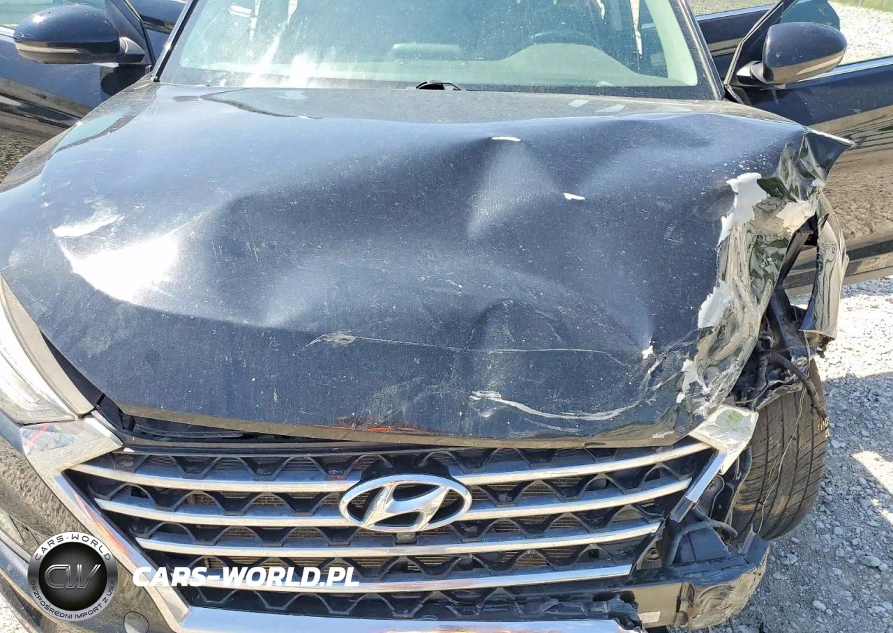 2019 Hyundai Tucson Limited VIN:KM8J3CALXKU855186 - 12