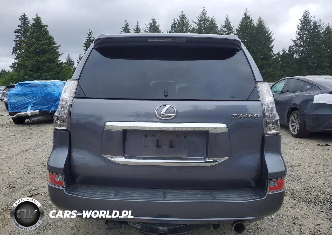 2016 Lexus Gx 460 VIN:JTJBM7FX6G5141384 - 6