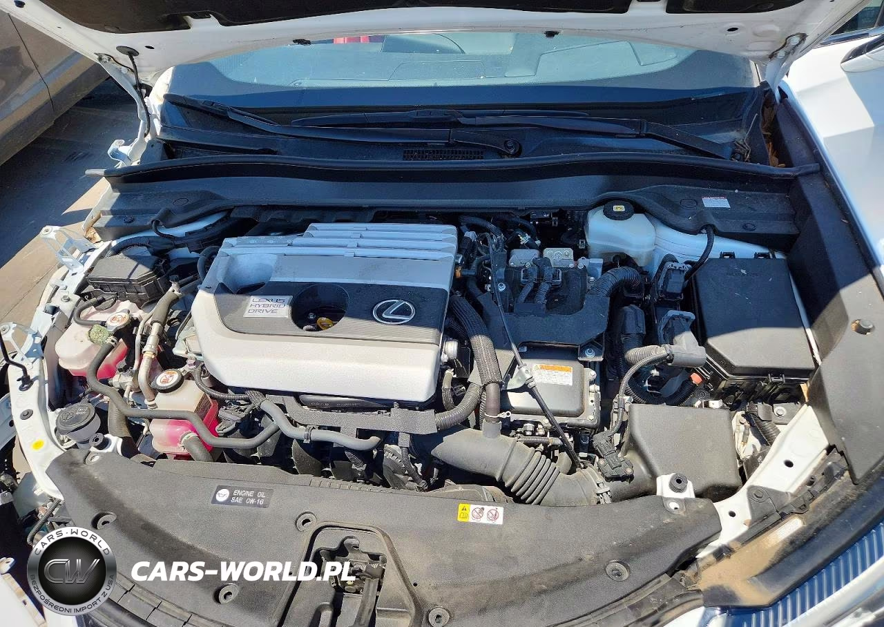 2021 Lexus Ux 250H VIN:JTHR9JBHXM2039399 - 11