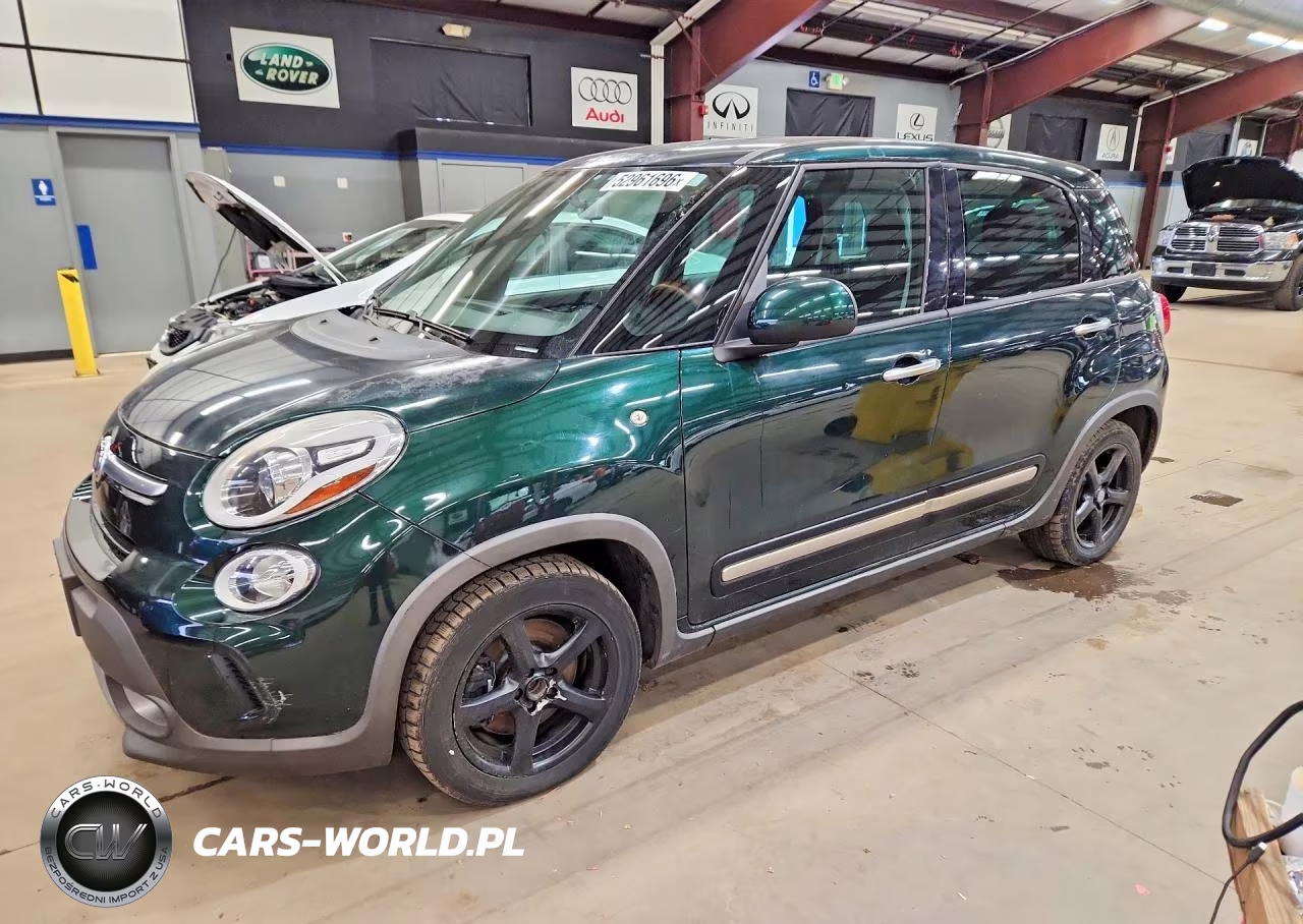 2014 Fiat 500L Trekking