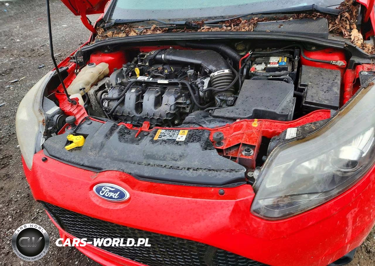 2014 Ford Focus St VIN:1FADP3L90EL329334 - 11