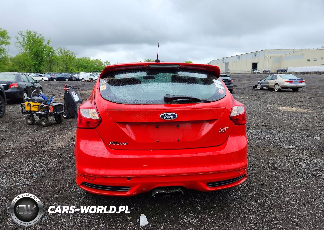 2014 Ford Focus St VIN:1FADP3L90EL329334 - 6