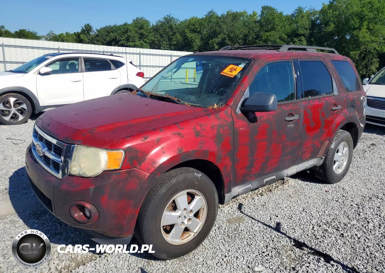 2010 Ford Escape Xlt