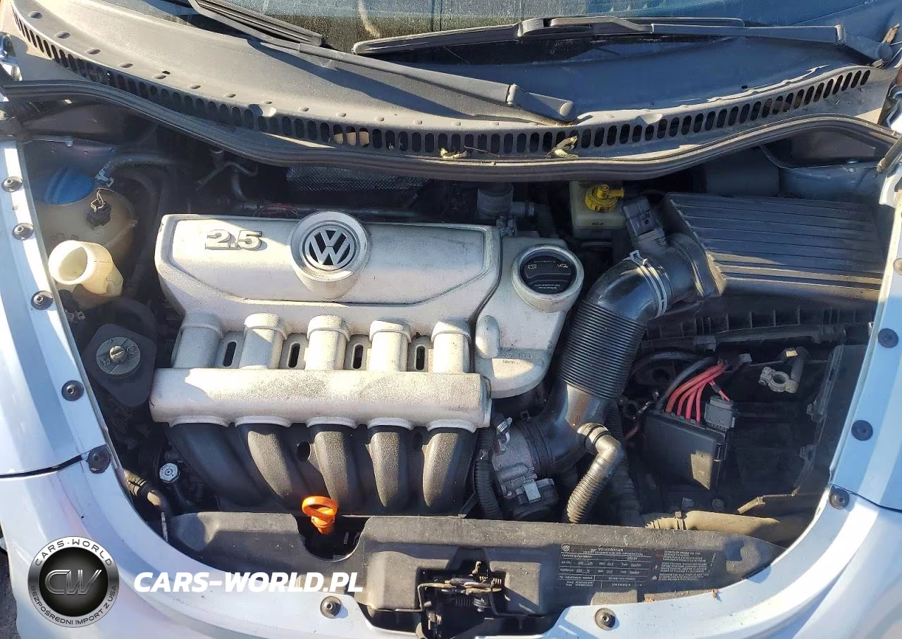 2009 Volkswagen New Beetle S VIN:3VWPG31C29M503301 - 11