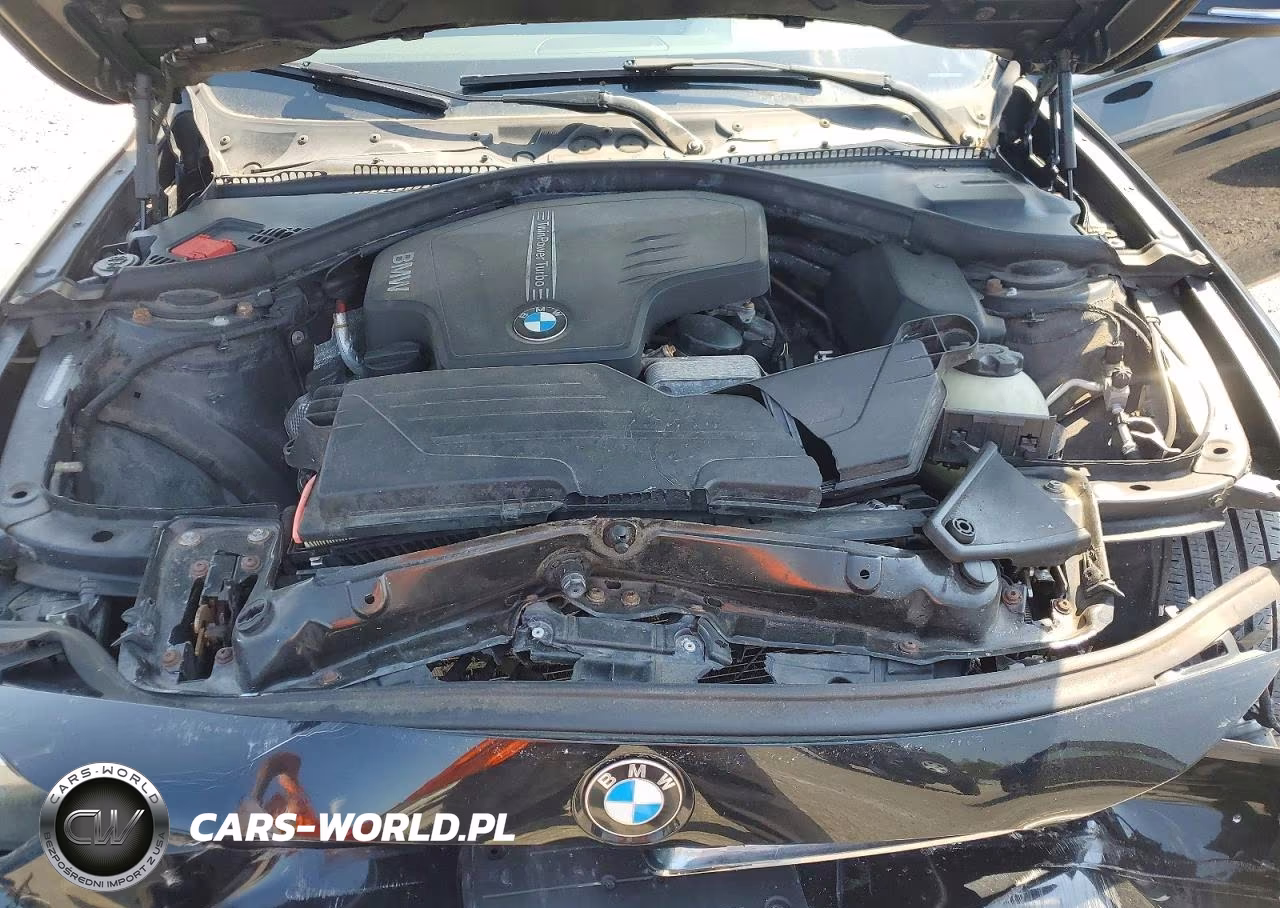2014 BMW 320 I xDrive VIN:WBA3C3C5XEP660930 - 11