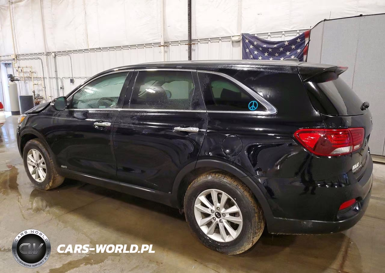 2019 Kia Sorento Lx VIN:5XYPGDA33KG539574 - 2