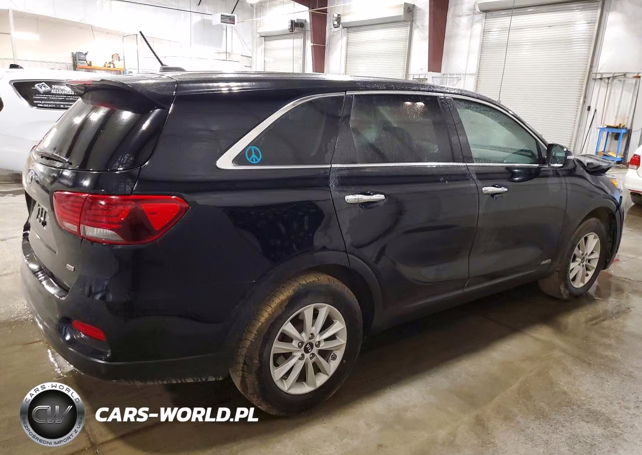 2019 Kia Sorento Lx VIN:5XYPGDA33KG539574 - 3