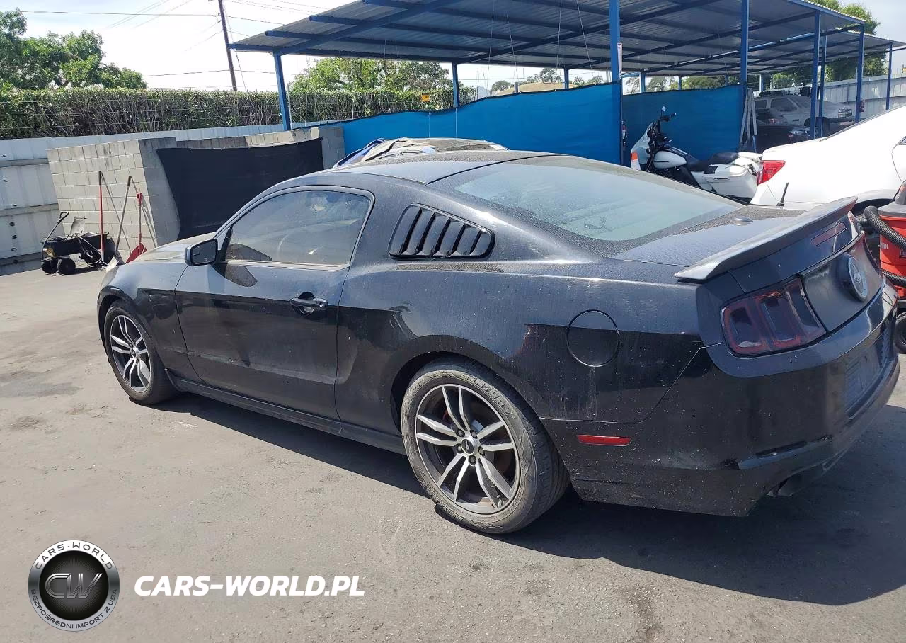 2013 Ford Mustang VIN:1ZVBP8AM1D5250129 - 2