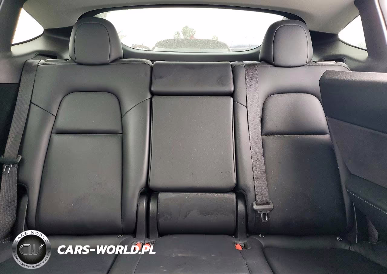 2024 Tesla Model Y VIN:7SAYGDEF6RF182274 - 10