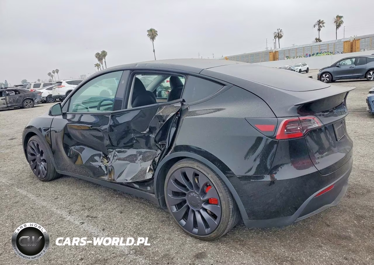 2024 Tesla Model Y VIN:7SAYGDEF6RF182274 - 2