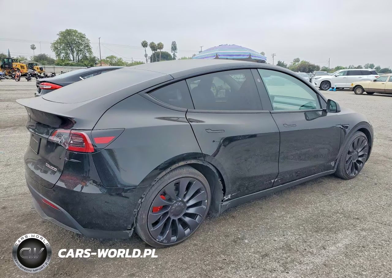 2024 Tesla Model Y VIN:7SAYGDEF6RF182274 - 3