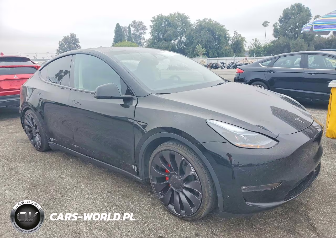 2024 Tesla Model Y VIN:7SAYGDEF6RF182274 - 4