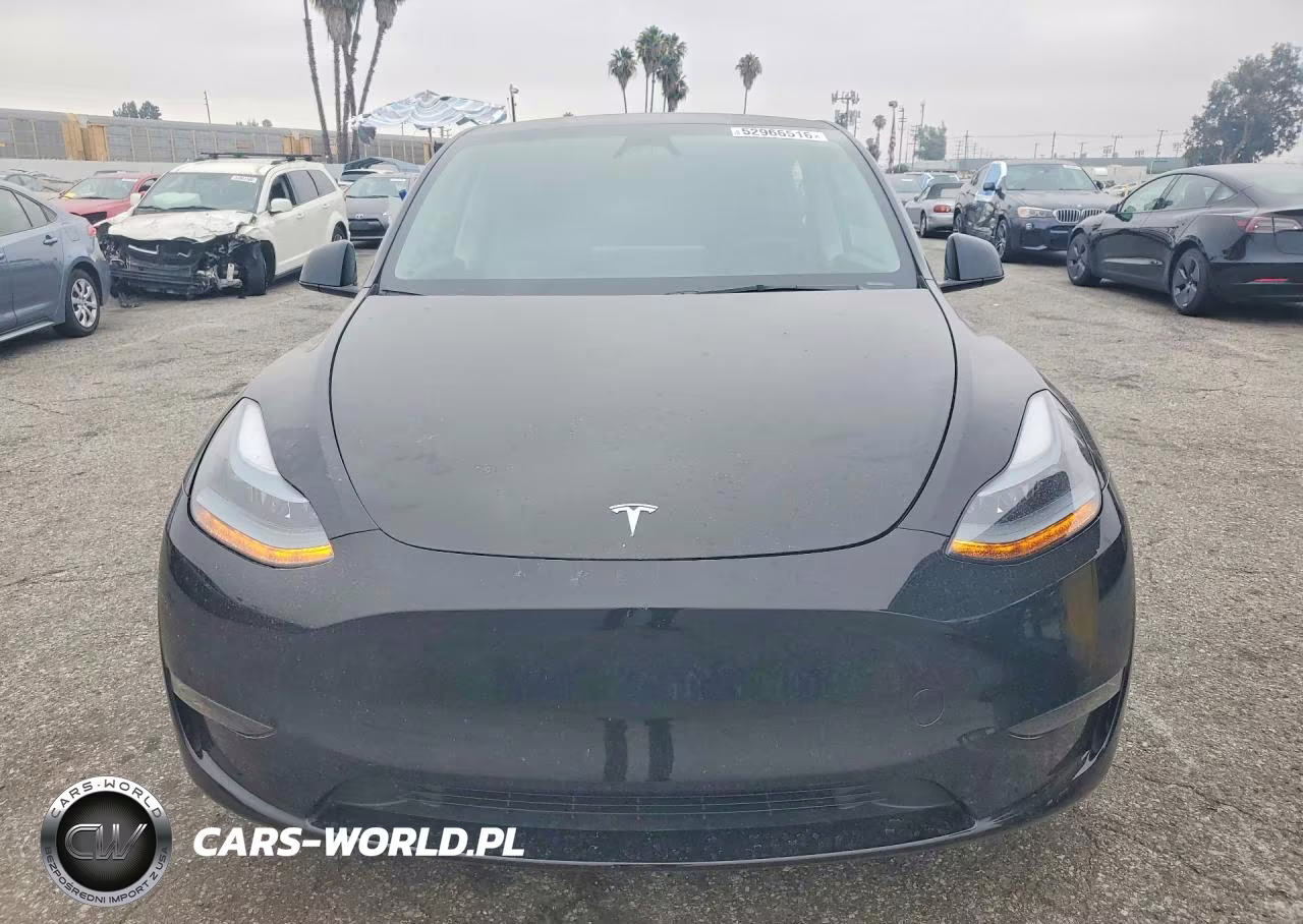 2024 Tesla Model Y VIN:7SAYGDEF6RF182274 - 5