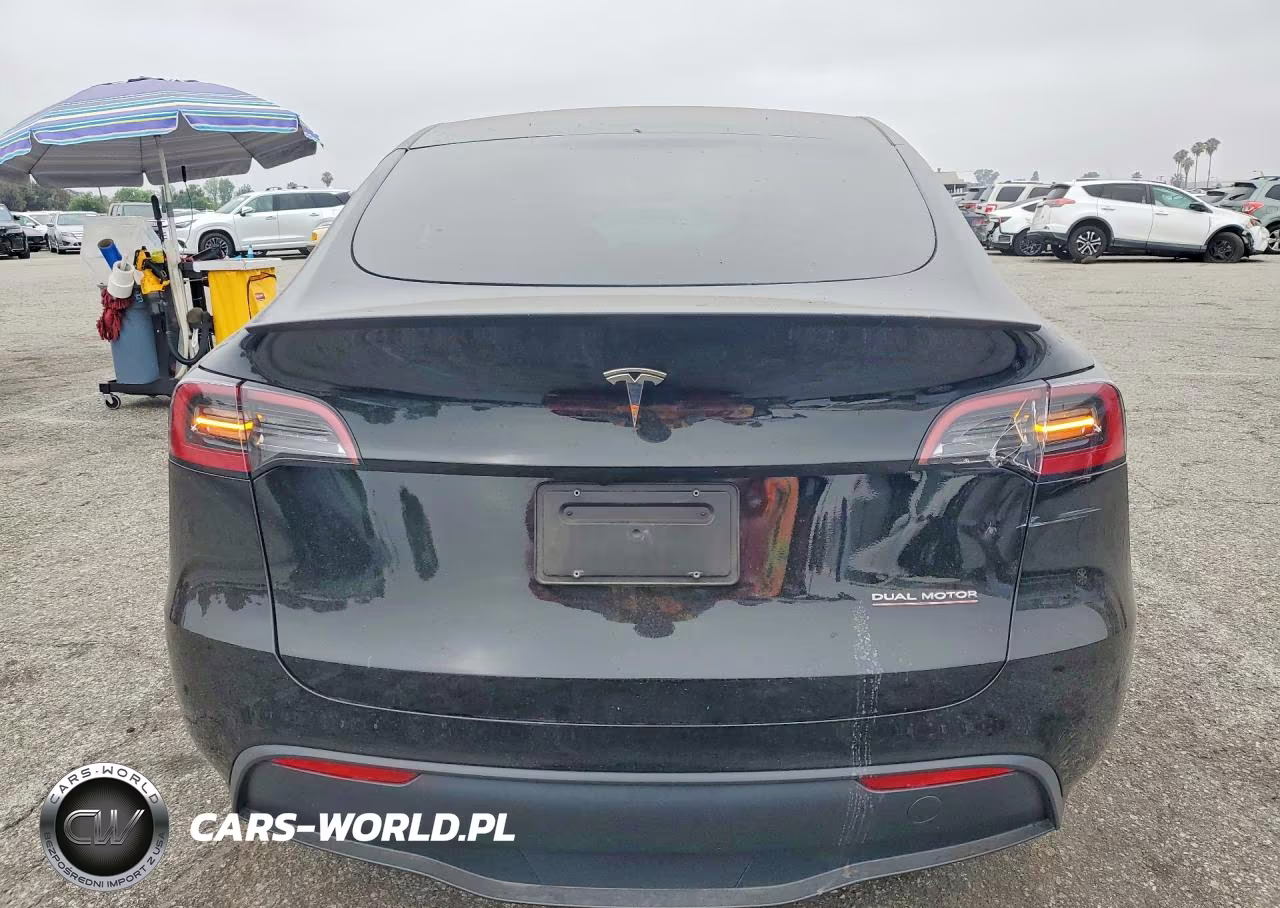 2024 Tesla Model Y VIN:7SAYGDEF6RF182274 - 6