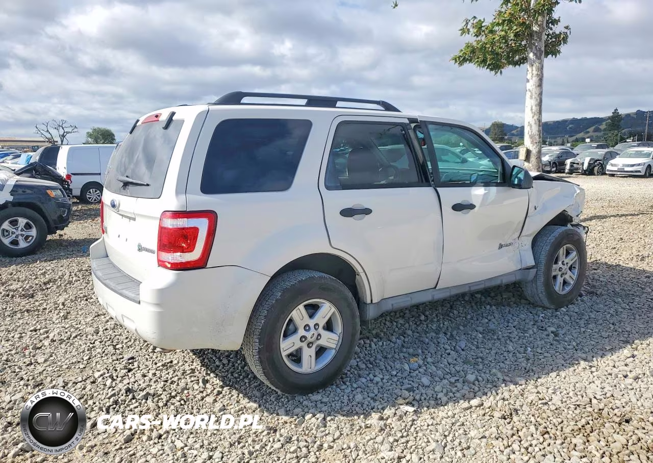 2009 Ford Escape Hybrid VIN:1FMCU49399KB62311 - 3