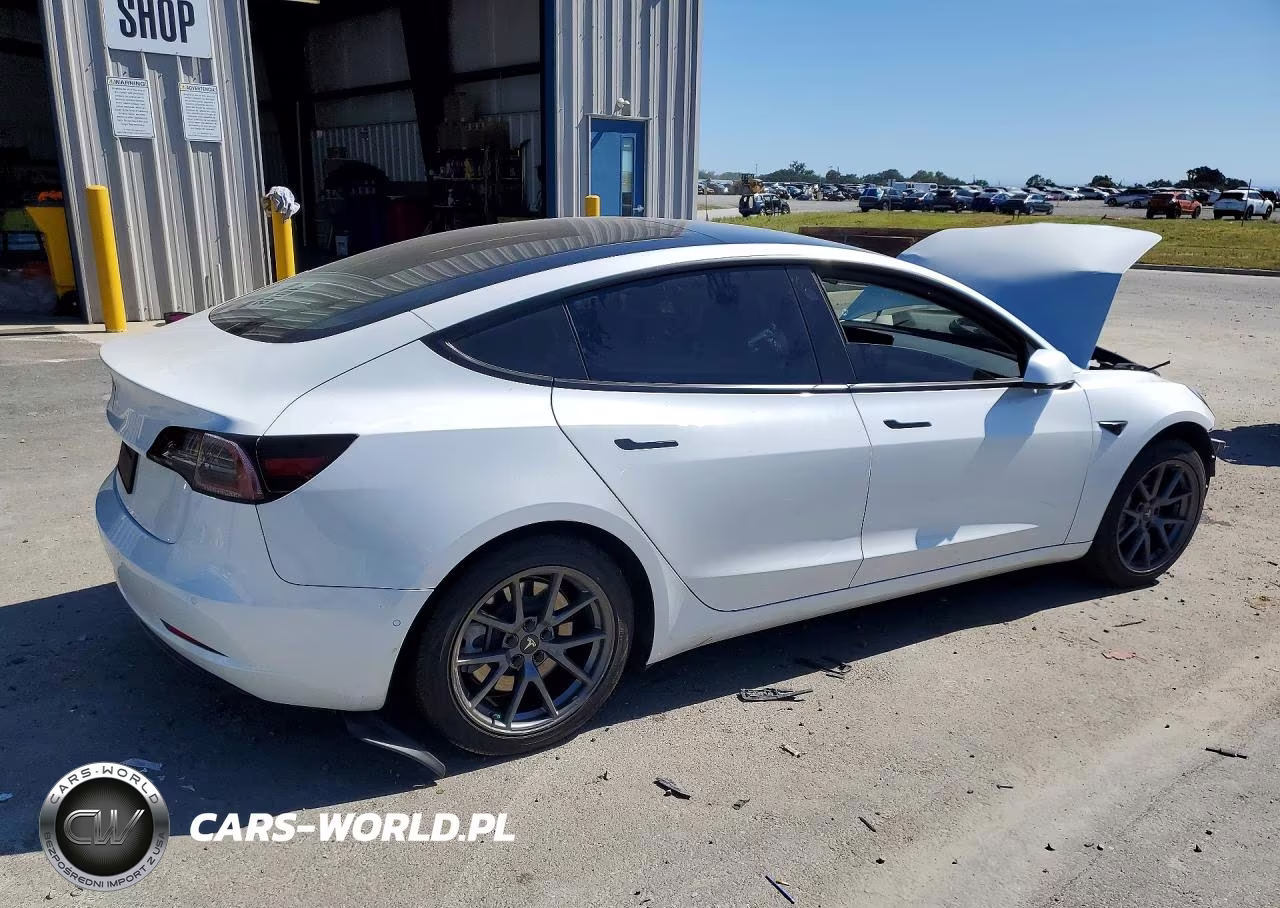 2021 Tesla Model 3 VIN:5YJ3E1EAXMF874482 - 3