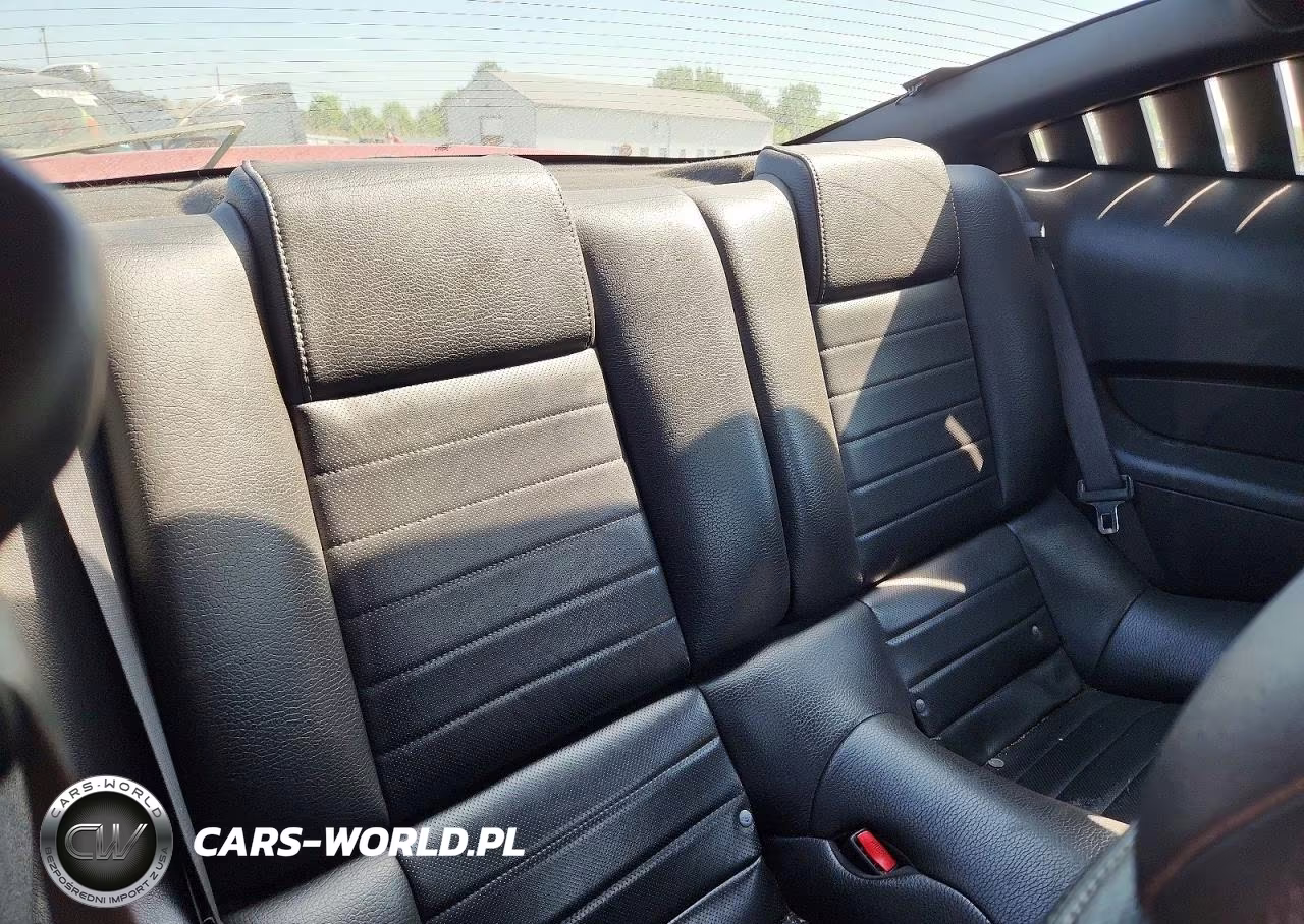 2010 Ford Mustang VIN:1ZVBP8AN3A5177463 - 10