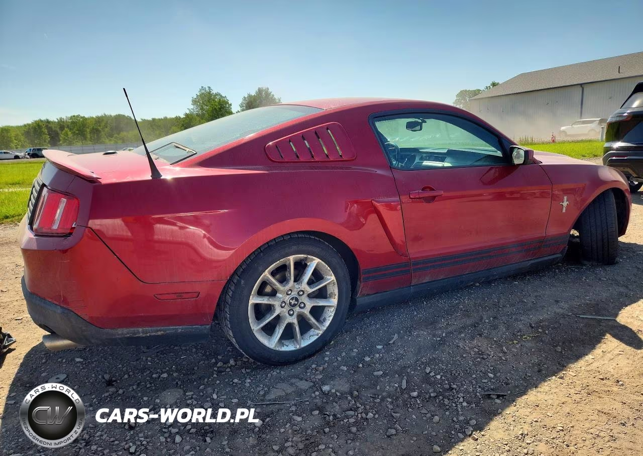 2010 Ford Mustang VIN:1ZVBP8AN3A5177463 - 3