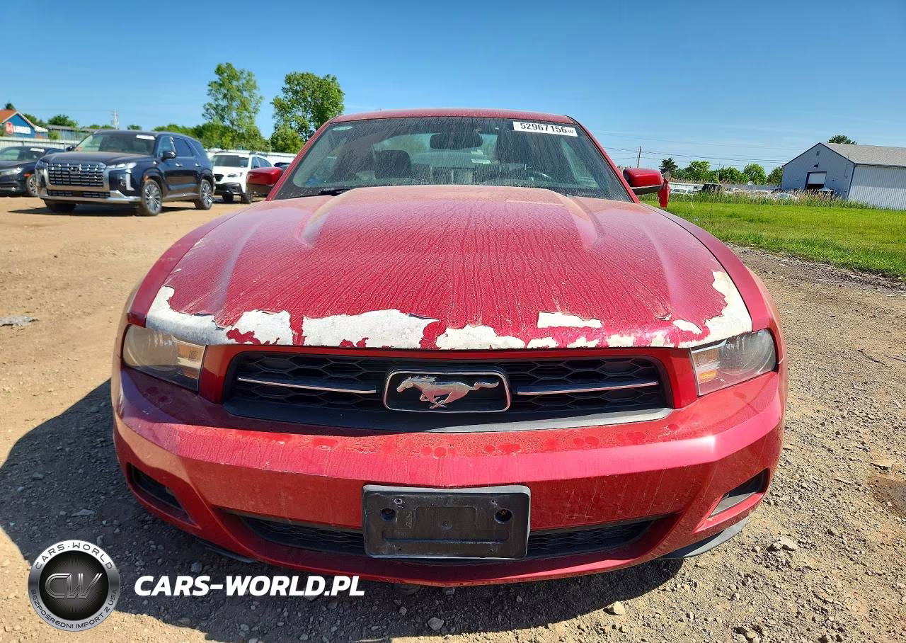 2010 Ford Mustang VIN:1ZVBP8AN3A5177463 - 5