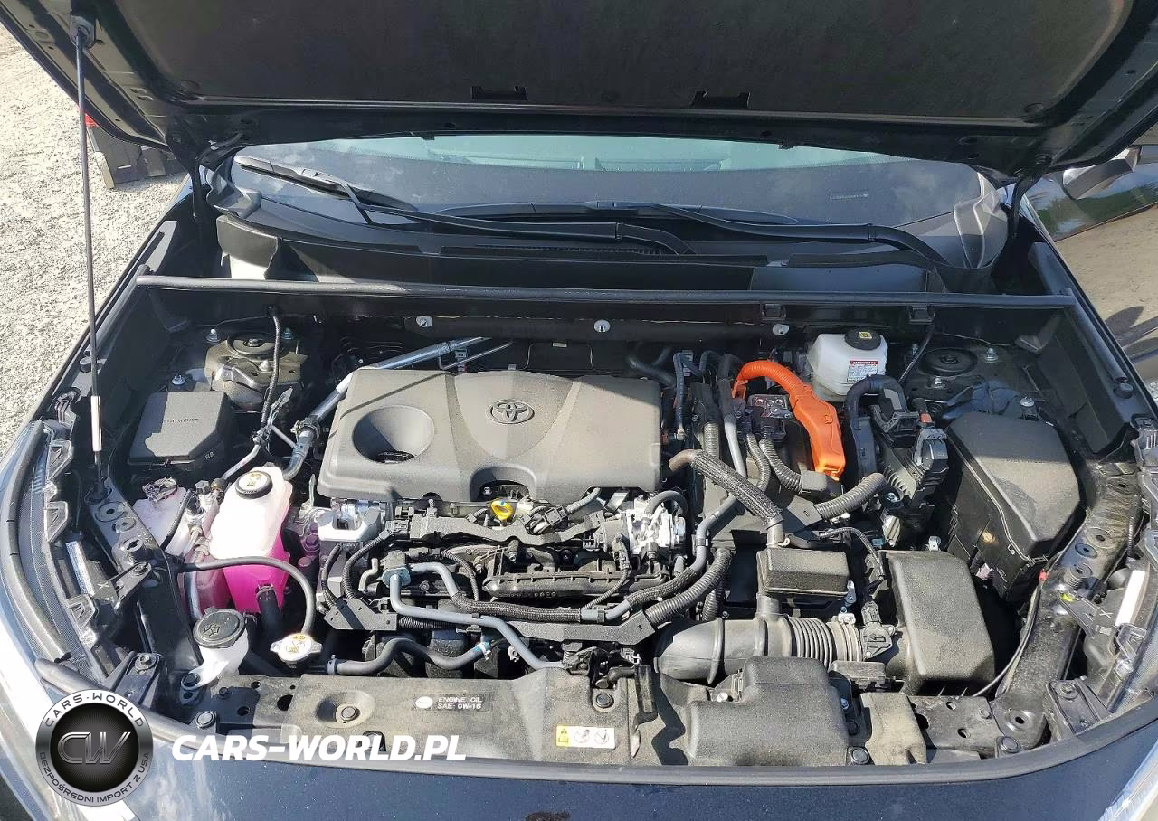 2025 Toyota Rav4 Hybrid Xle VIN:JTMRWRFV7SD341615 - 12