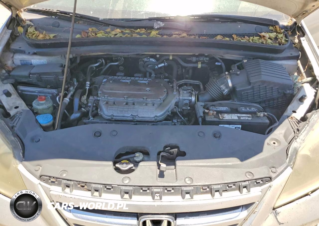 2007 Honda Odyssey Lx VIN:5FNRL38267B008556 - 12