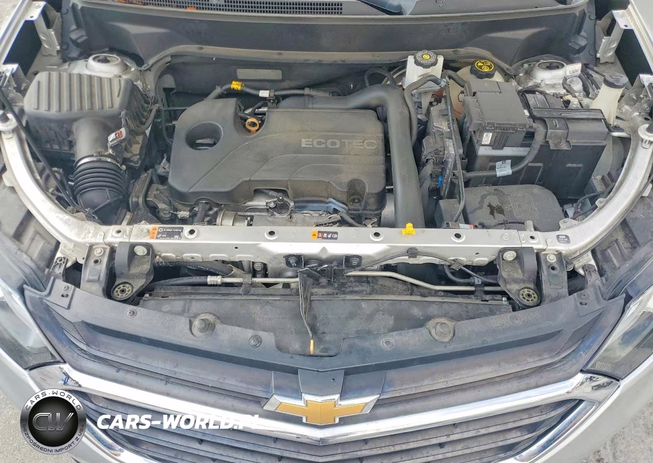 2019 Chevrolet Equinox Lt VIN:3GNAXKEV1KS669249 - 12