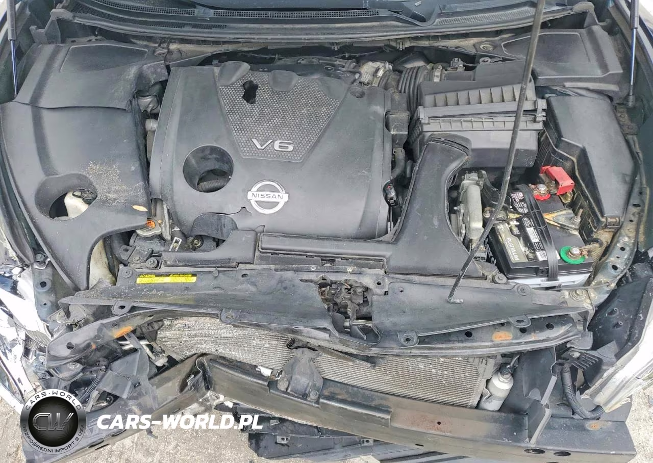 2009 Nissan Maxima 3.5 S VIN:1N4AA51E79C860343 - 11