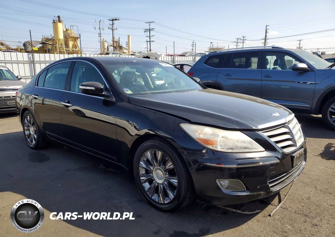2009 Hyundai Genesis 3.8L VIN:KMHGC46E29U039206 - 4