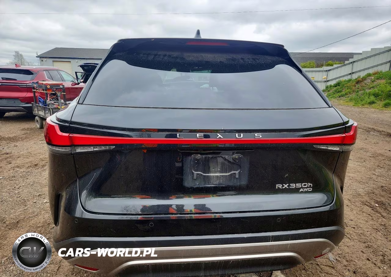 2023 Lexus Rx 350H Luxury VIN:2T2BBMCA3PC009561 - 6