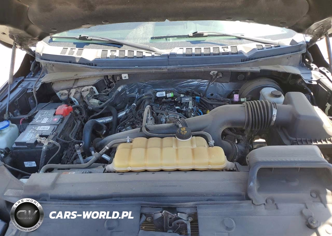 2020 Ford F150 Supercrew VIN:1FTEW1CP5LKD33029 - 11