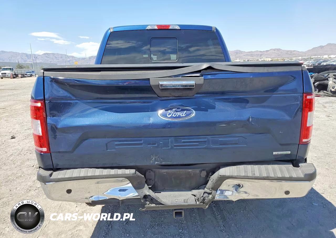 2020 Ford F150 Supercrew VIN:1FTEW1CP5LKD33029 - 6