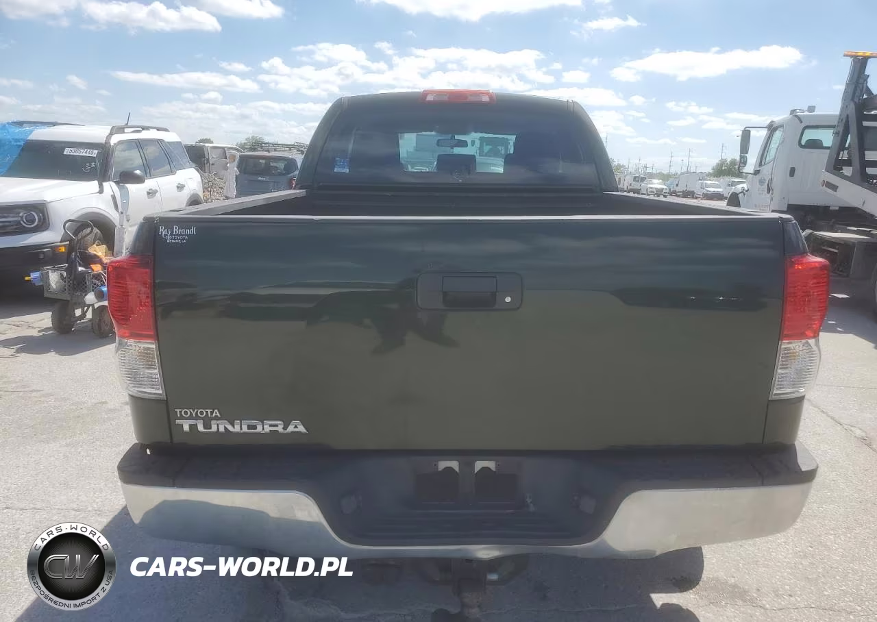 2010 Toyota Tundra Double Cab Sr5 VIN:5TFRM5F19AX004498 - 6