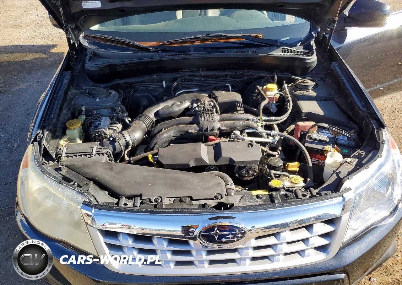 2013 Subaru Forester 2.5X Premium VIN:JF2SHADC1DH420791 - 11