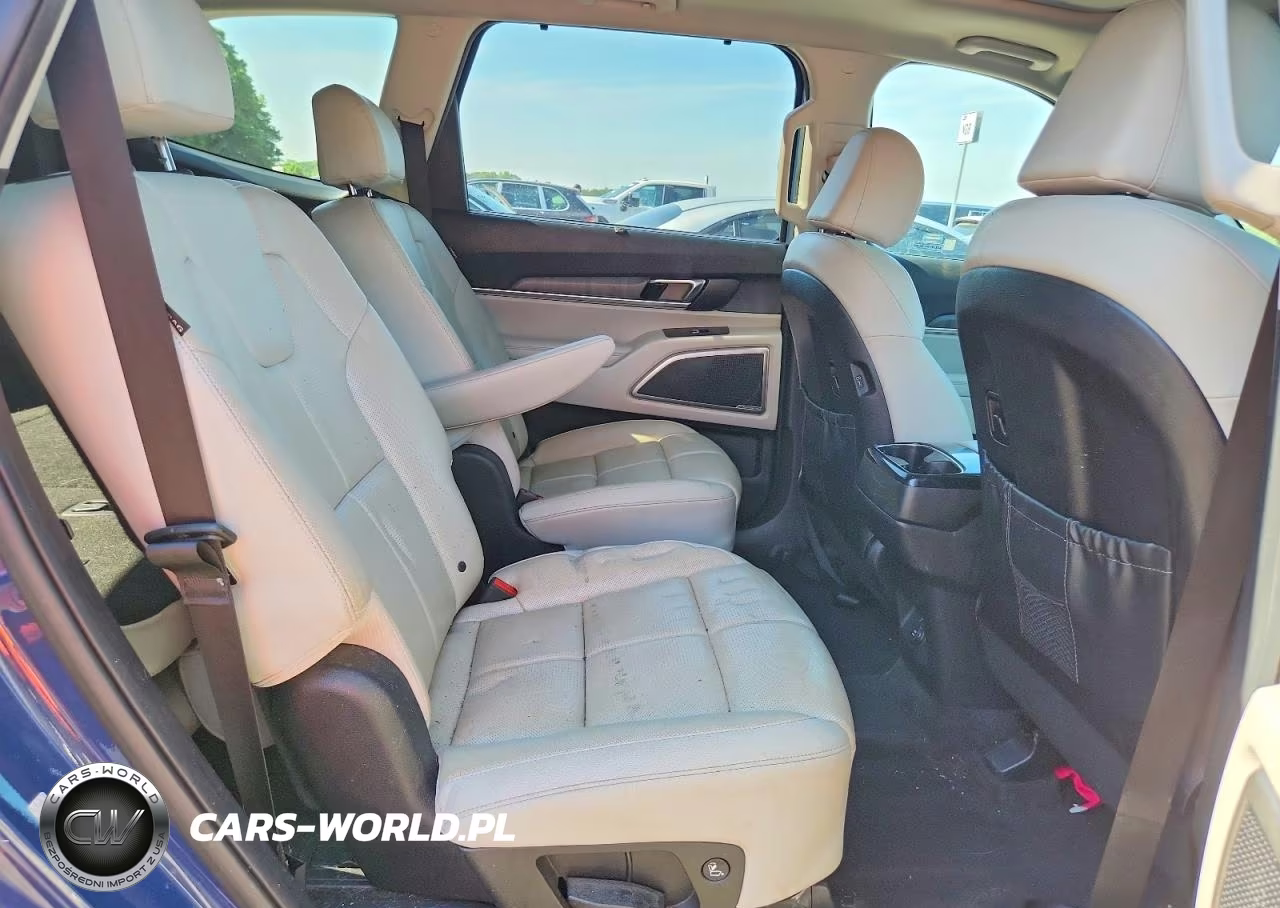 2023 Kia Telluride Ex VIN:5XYP34GC4PG373396 - 10