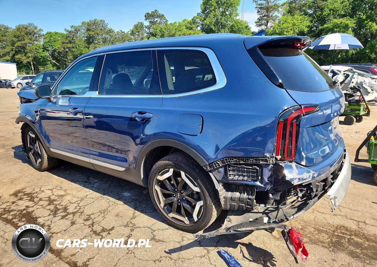 2023 Kia Telluride Ex VIN:5XYP34GC4PG373396 - 2