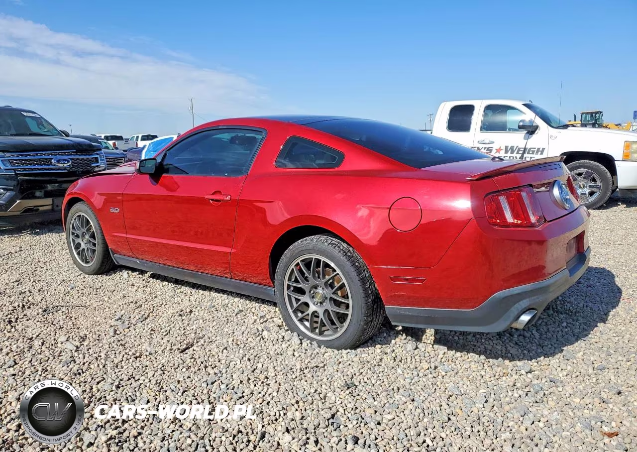 2011 Ford Mustang Gt VIN:1ZVBP8CF8B5142764 - 2
