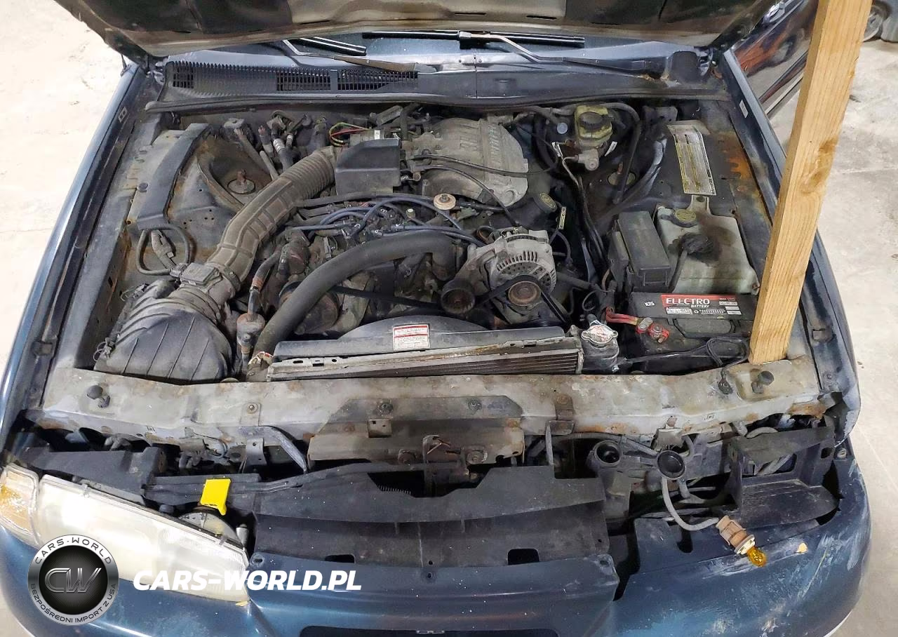 1997 Ford Thunderbird Lx VIN:1FALP624XVH119331 - 11