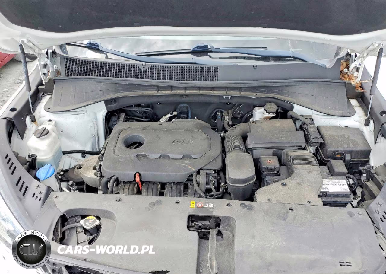 2019 Kia Sorento Lx VIN:5XYPG4A30KG553433 - 12