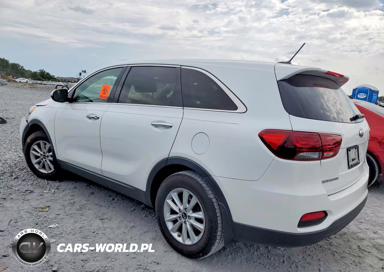 2019 Kia Sorento Lx VIN:5XYPG4A30KG553433 - 2