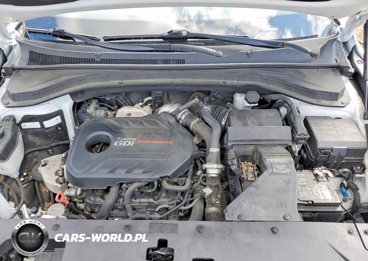 2019 Hyundai Santa Fe Limited 2.0T VIN:5NMS5CAA0KH059717 - 12