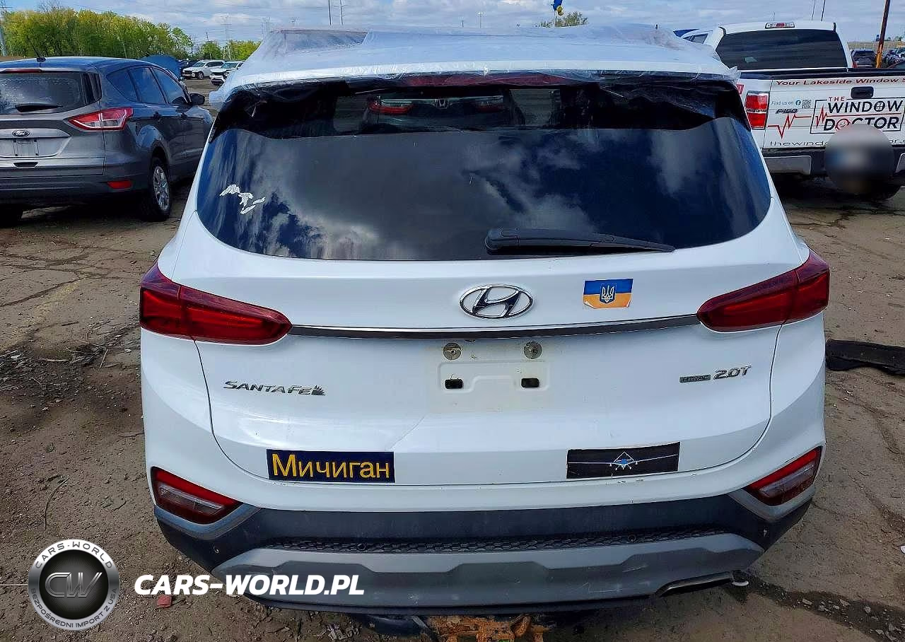 2019 Hyundai Santa Fe Limited 2.0T VIN:5NMS5CAA0KH059717 - 6