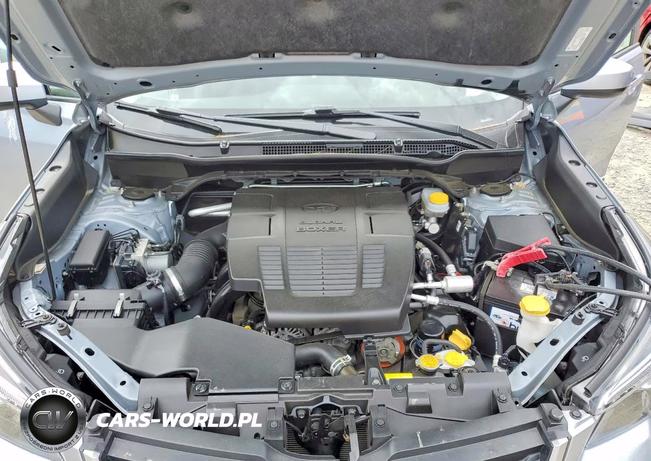 2019 Subaru Forester Premium VIN:JF2SKAGC5KH537901 - 12