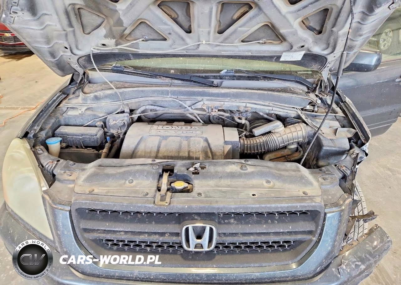 2005 Honda Pilot Exl VIN:5FNYF18505B047044 - 12