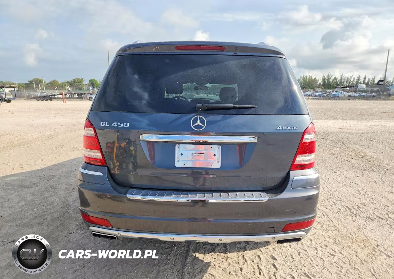 2010 Mercedes-Benz Gl 450 4Matic VIN:4JGBF7BEXAA596413 - 6