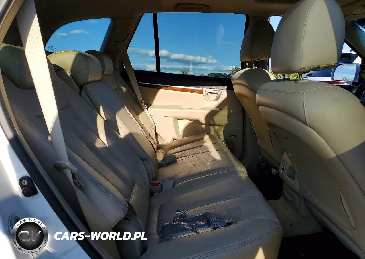 2009 Hyundai Santa Fe Limited VIN:5NMSH73E79H315120 - 11
