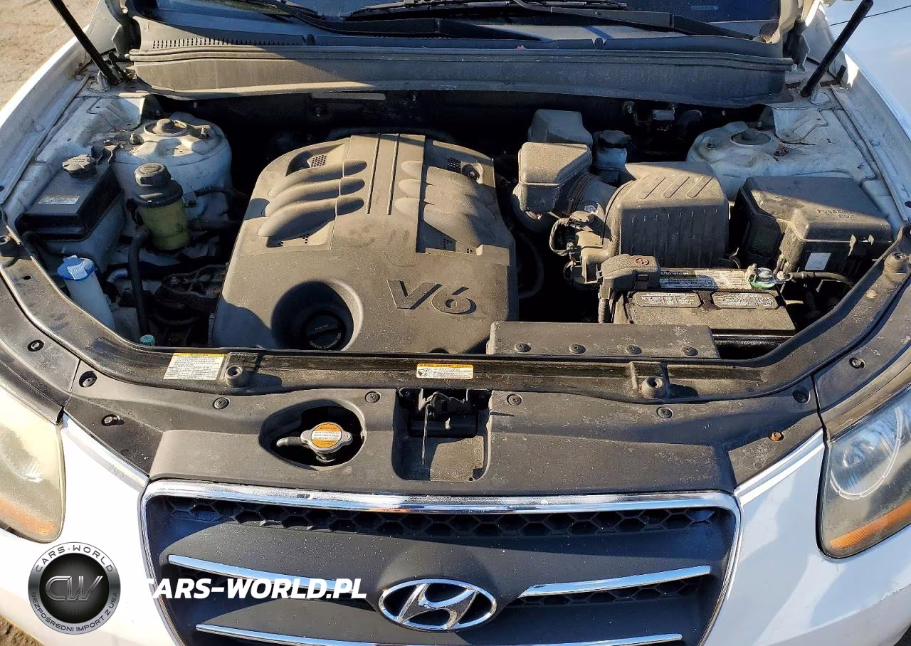 2009 Hyundai Santa Fe Limited VIN:5NMSH73E79H315120 - 12
