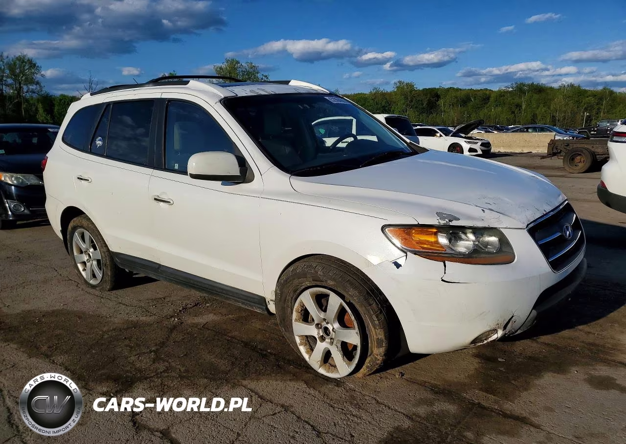 2009 Hyundai Santa Fe Limited VIN:5NMSH73E79H315120 - 4